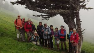 2012.05.27 signal_bassias